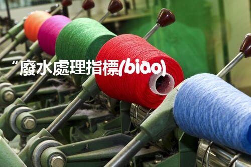 “廢水處理指標(biāo)解析：從COD、BOD到滲出液，你需要知道的一切”
